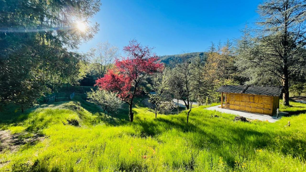 Chambre D'Hote Lavande - Le Soleil Des Cevennes Saint-Jean-du-Gard Esterno foto