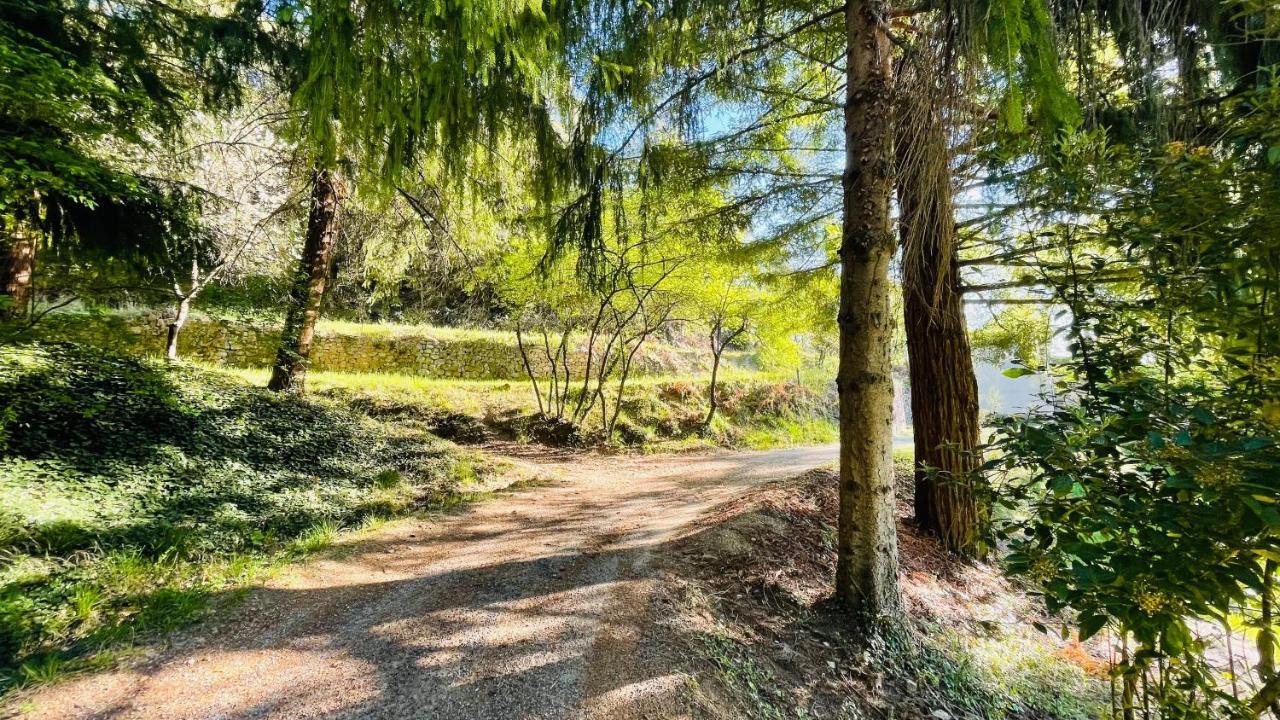 Chambre D'Hote Lavande - Le Soleil Des Cevennes Saint-Jean-du-Gard Esterno foto