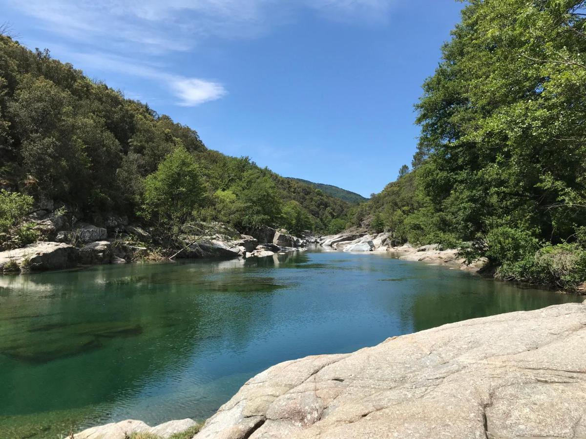 Chambre D'Hote Lavande - Le Soleil Des Cevennes Saint-Jean-du-Gard Esterno foto