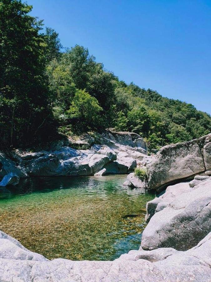 Chambre D'Hote Lavande - Le Soleil Des Cevennes Saint-Jean-du-Gard Esterno foto